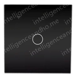 Smart switch ZNKG-B1